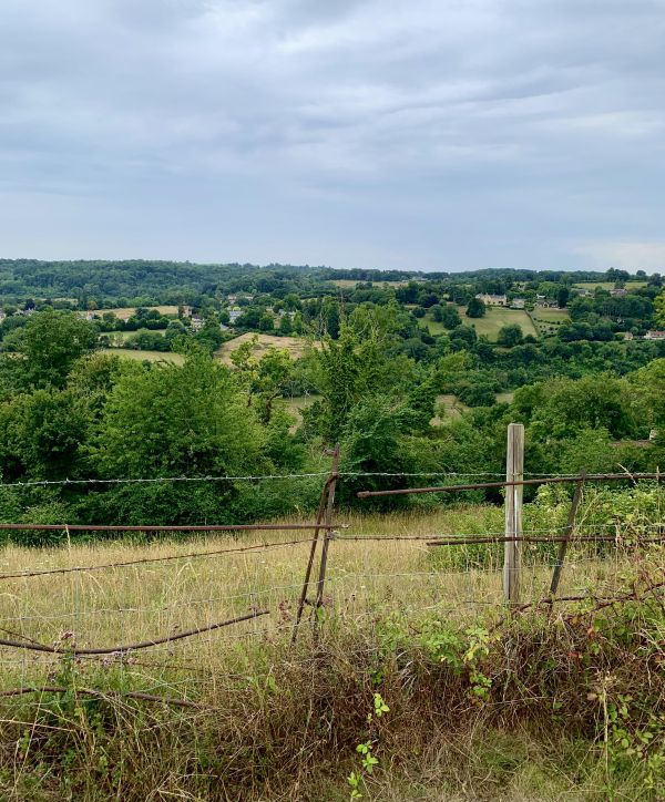 View from 17 Aug walk